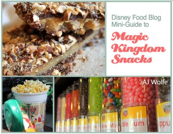 DFB Guide to Magic Kingdom Snacks  DFB Store - Mozilla Firefox 7212014 25936 PM