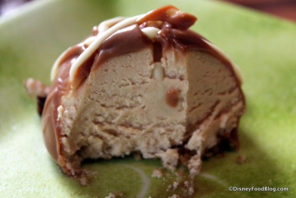 Peanut Butter Turtle -- Cross Section