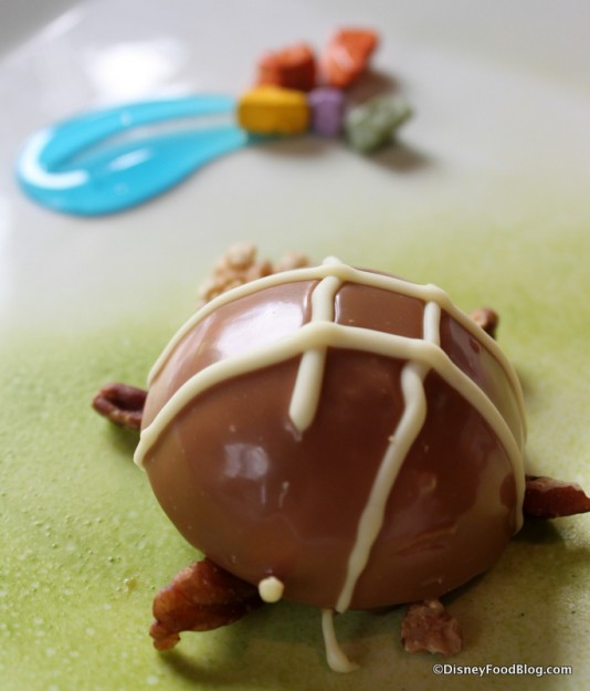 Peanut Butter Turtle Sanaa 2