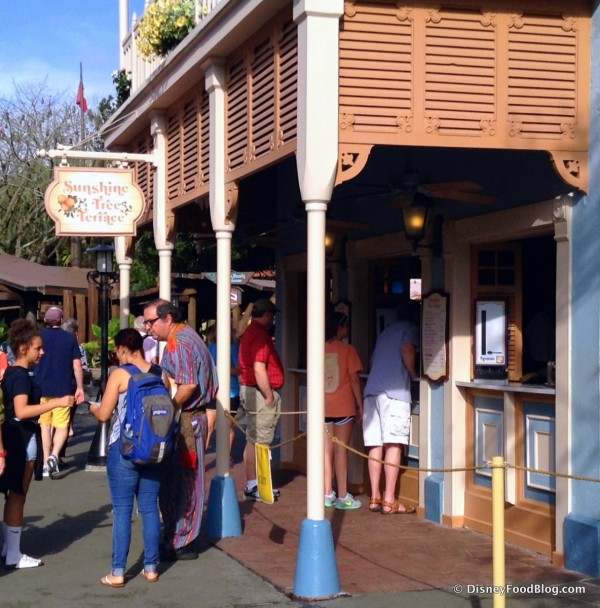 New Sunshine Tree Terrace!