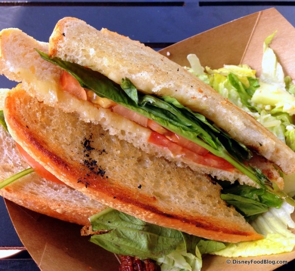 Fontina and Tomato Basil Grilled Cheese Sandwich -- Cross Section