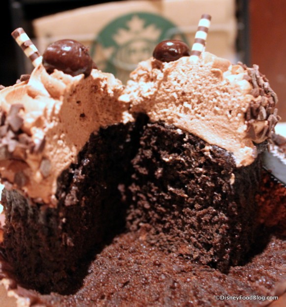 Mocha Cupcake -- Cross Section