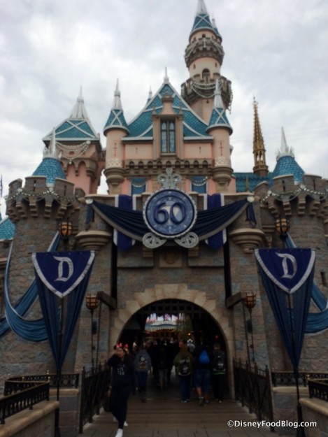 Sleeping Beauty Castle