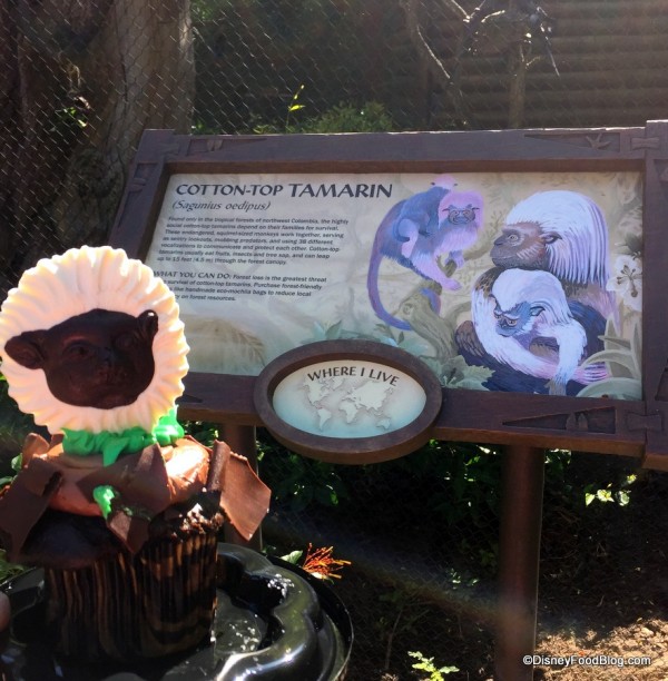 Cotton Top Tamarin Exhibit