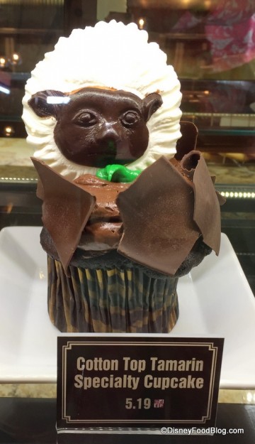 Cotton Top Tamarin for a snack credit