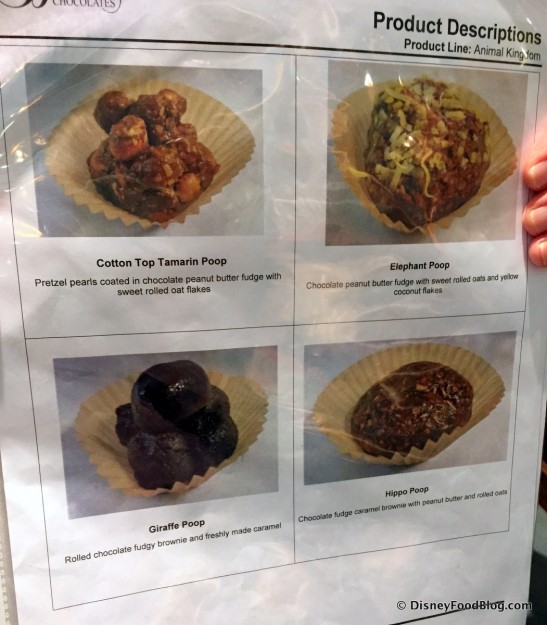 Want To Know What's In Your Elephant Poop? No Problem.