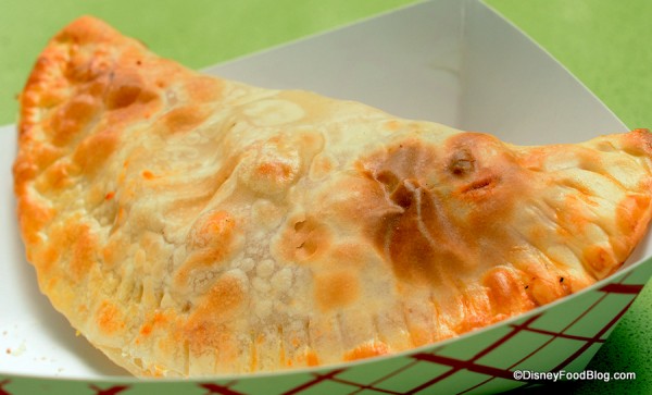 Chicken Empanada