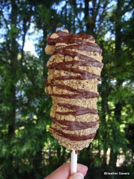 Smores Marshmallow Wand