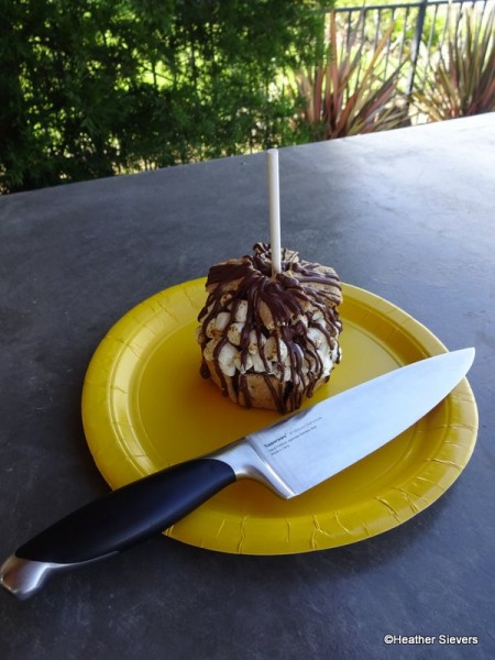 Don't Try This in the Parks!