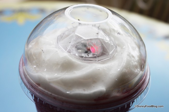 Close up on Frozen Pomegranate Silver Sparkler