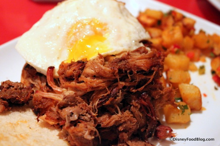 Pulled Pork -- Up Close