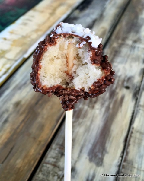 Cotton Top Tamarin Cake Pop -- Cross Section