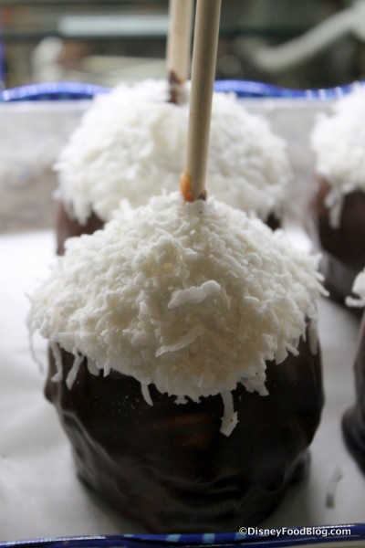 Cotton Top Tamarin Apples