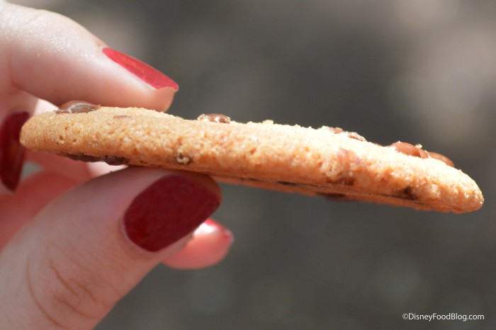 Snacks With Character Chocolate Chip Crunchy Cookie Side 