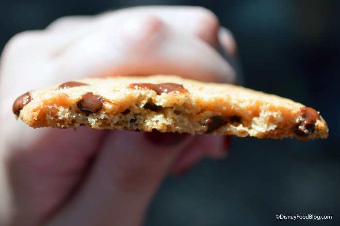 Snacks With Character Chocolate Chip Crunchy Cookie Inside