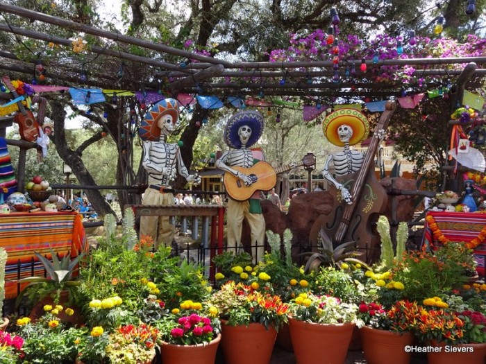 Zocalo Park Decor