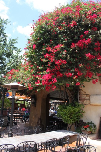 Rancho del Zocalo Decor