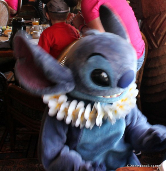 Stitch at 'Ohana