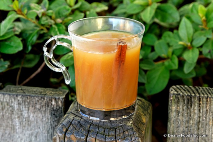Hot Applejack Cider