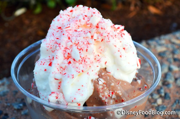 Crushed Candy Cane On The Peppermint Sundae