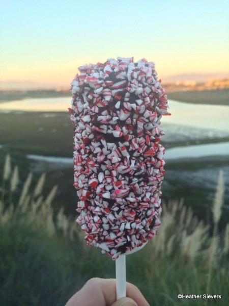 Candy Cane Marshmallow Wand