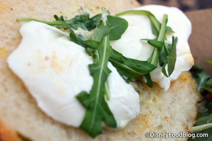 Fresh Mozzarella and Arugula 