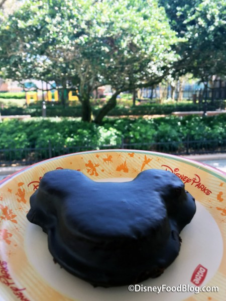 Enjoying the Beautiful Scenery at Port Orleans French Quarter!