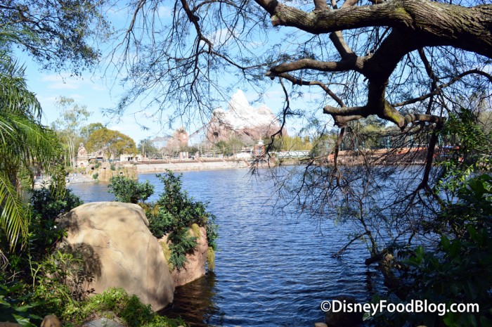 View of Discovery River