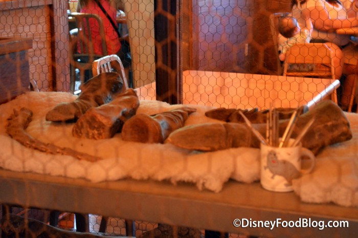 Dinosaur Bones and Artifacts