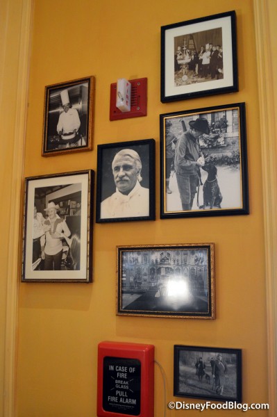 Photos of Chefs de France