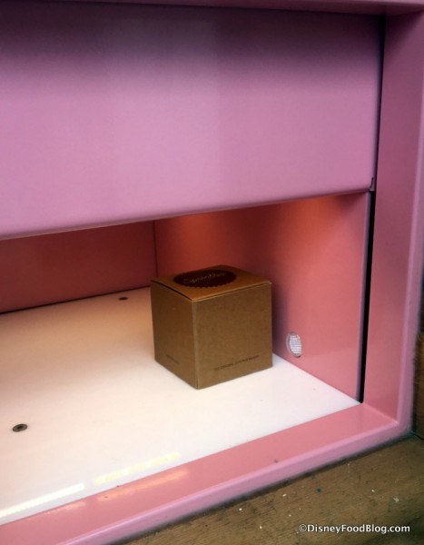 Cupcake waiting inside the door