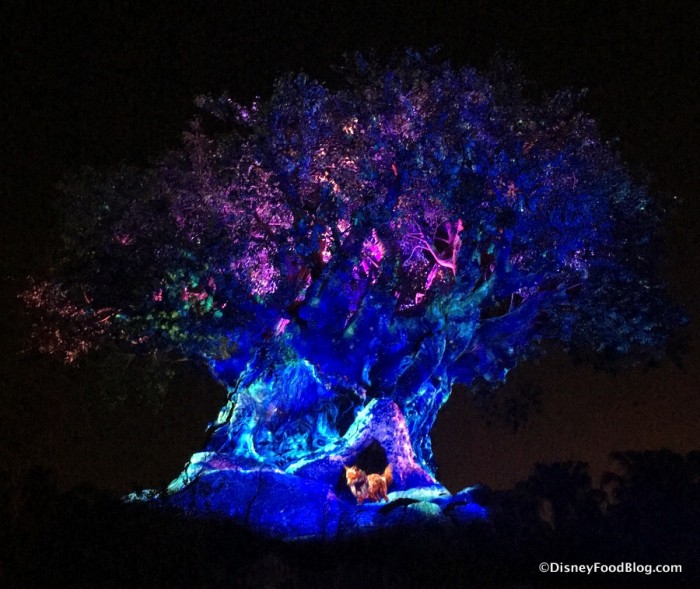 Tree of Life Awakenings