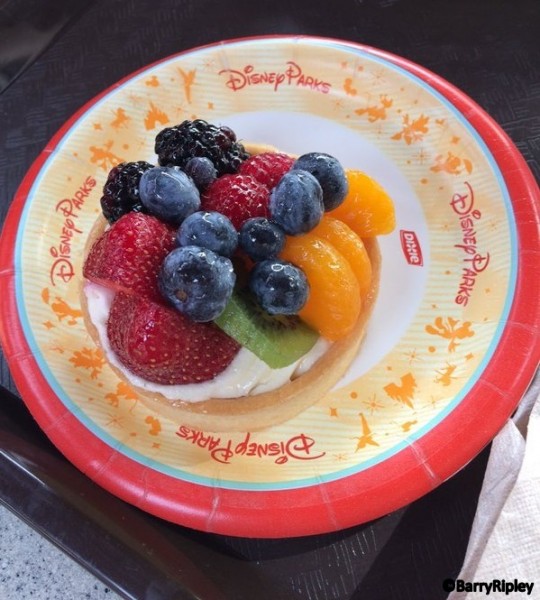 starringrolls_fruittart_2016-001