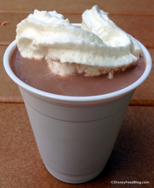Frozen Hot Chocolate