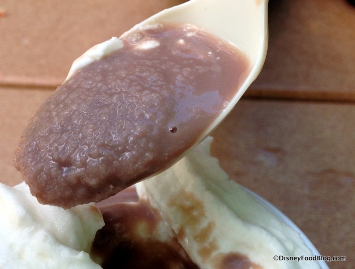 Frozen Hot Chocolate