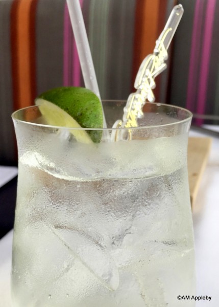 Elderflower Gin and Tonic