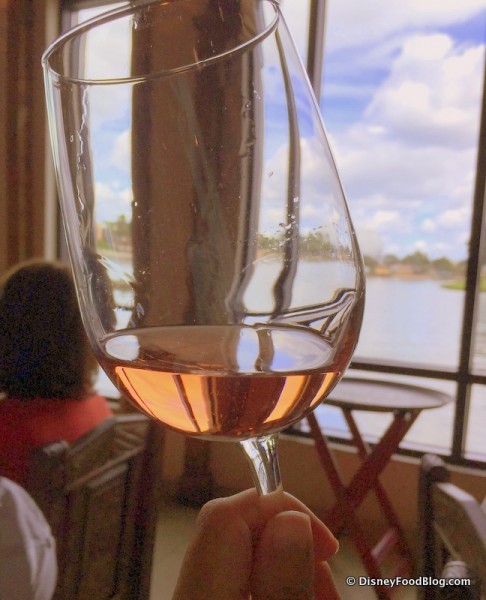 Borsao Rose Held to the Light