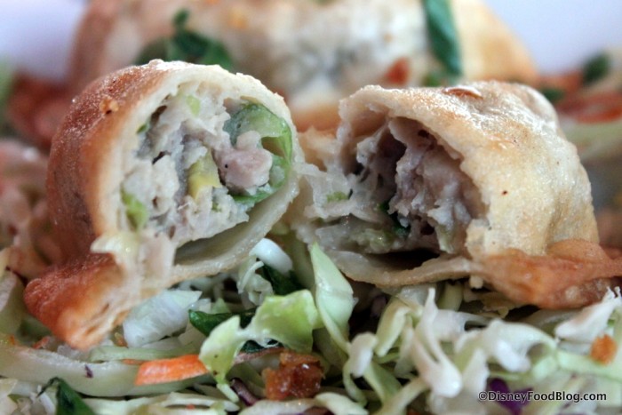 Duck Potstickers -- Inside