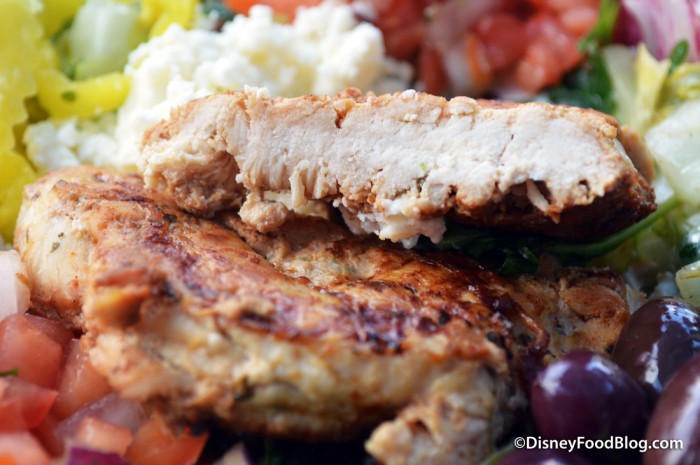 Chicken Cross-Section