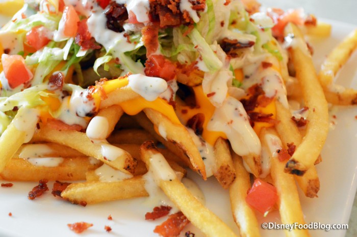 Plaza Loaded Fries