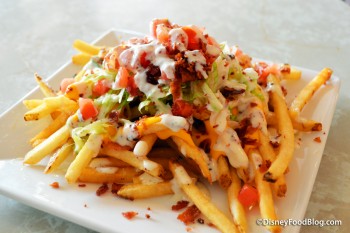 Plaza Loaded Fries
