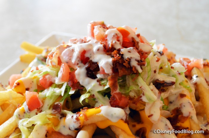 Plaza Loaded Fries