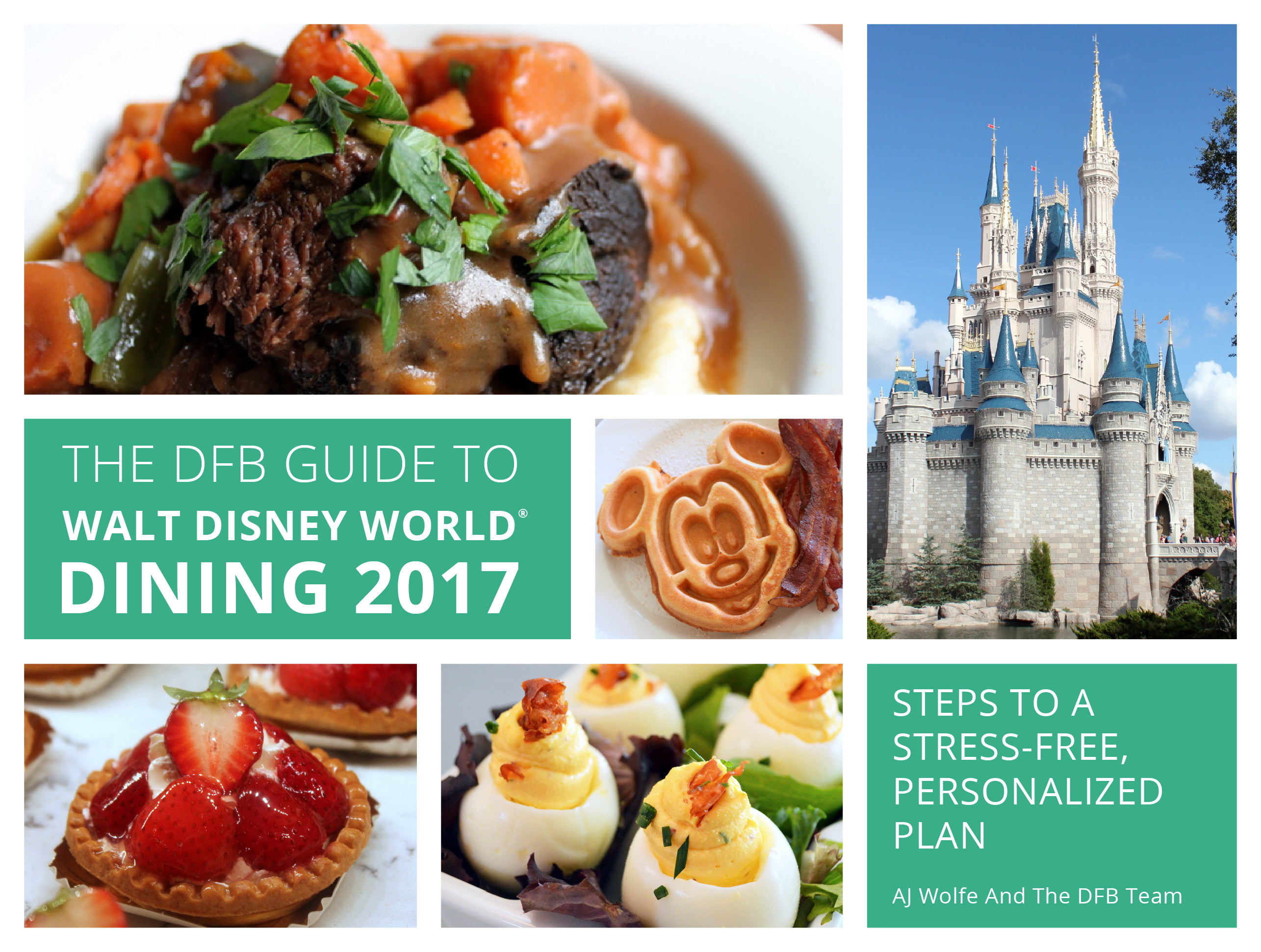 2017-dfb-guide-cover-mockups-11