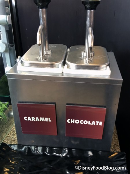 Caramel and Chocolate Sauce Dispensers