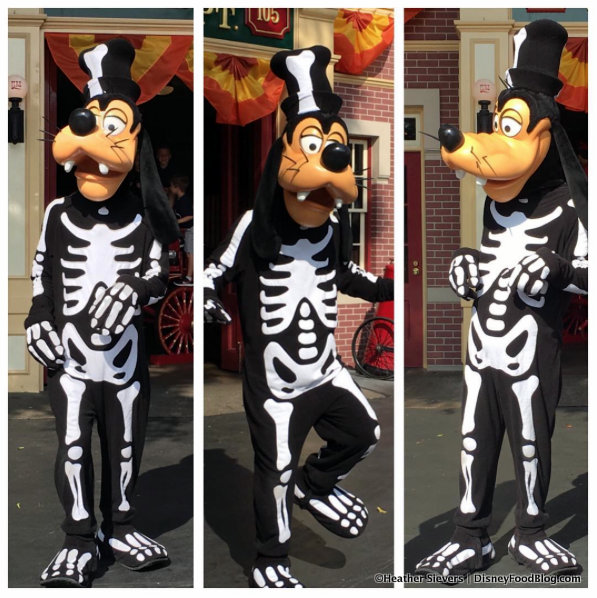 Skeleton Goofy!