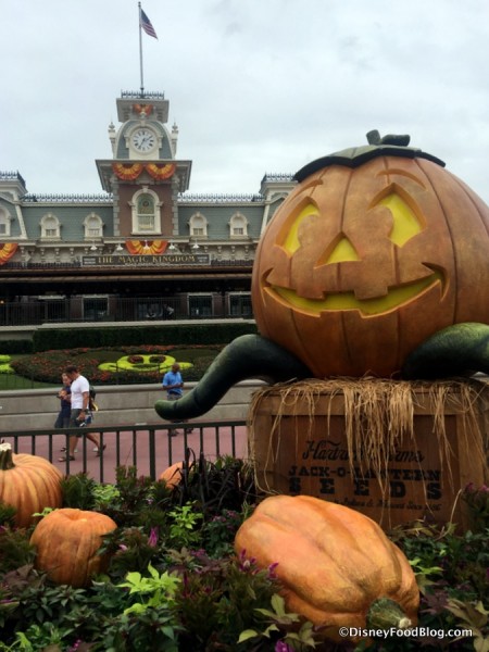 Halloween Decorations in Magic Kingdom