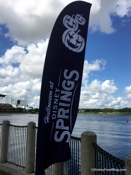 Disney Springs signs