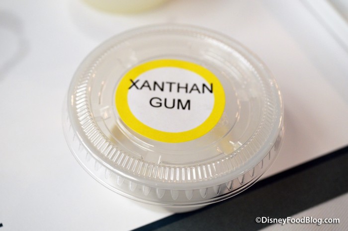 Xanthan Gum