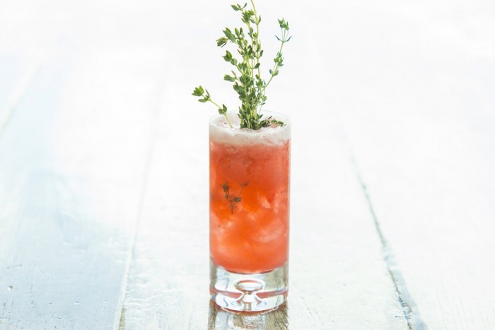 Captain Handsome ©Paddlefish