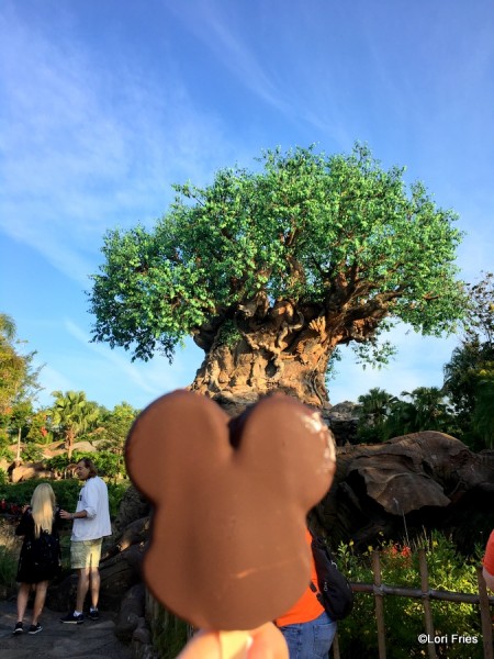 First treat in Animal Kingdom